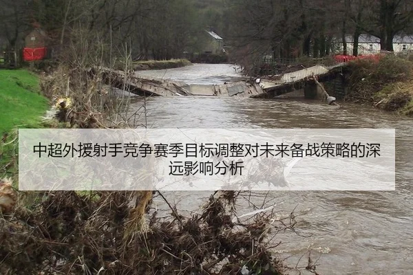 中超外援射手竞争赛季目标调整对未来备战策略的深远影响分析 | bet365